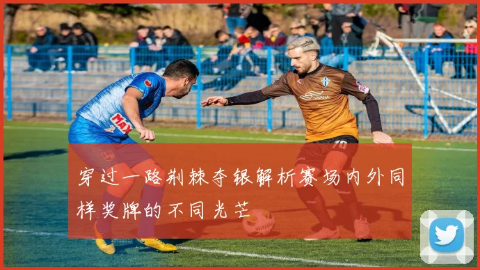 穿过一路荆棘夺银解析赛场内外同样奖牌的不同光芒