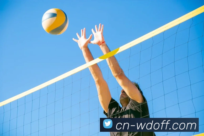 App Interface Preview